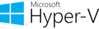 Microsoft Hyper-V Hypervisor Server